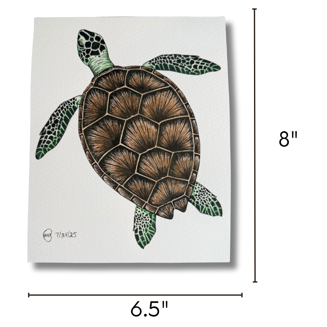 Sea Turtle Watercolor