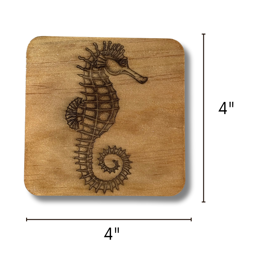 Seahorse Coasters