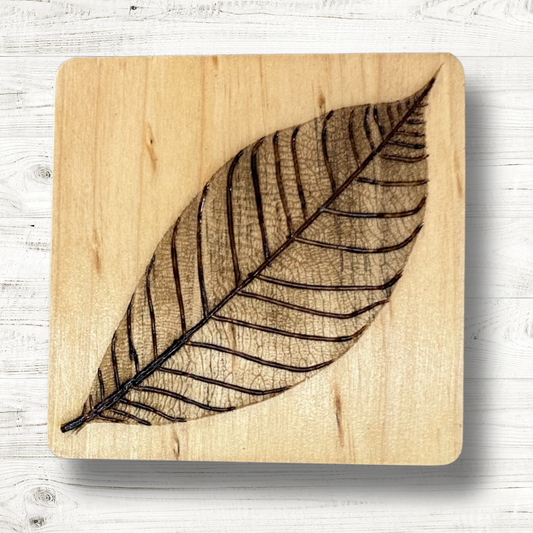 Leaf Coasters