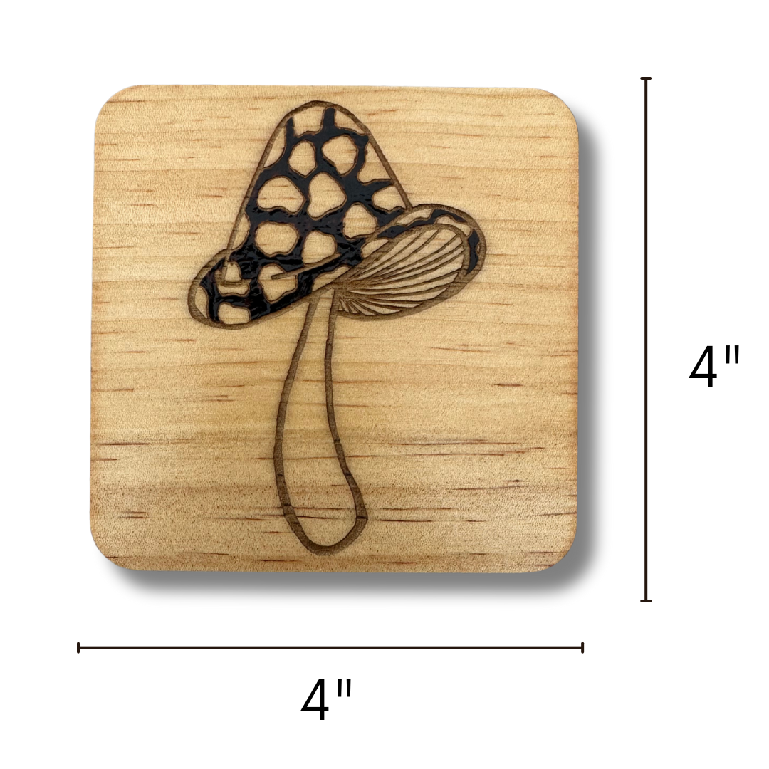 Mushroom Coasters
