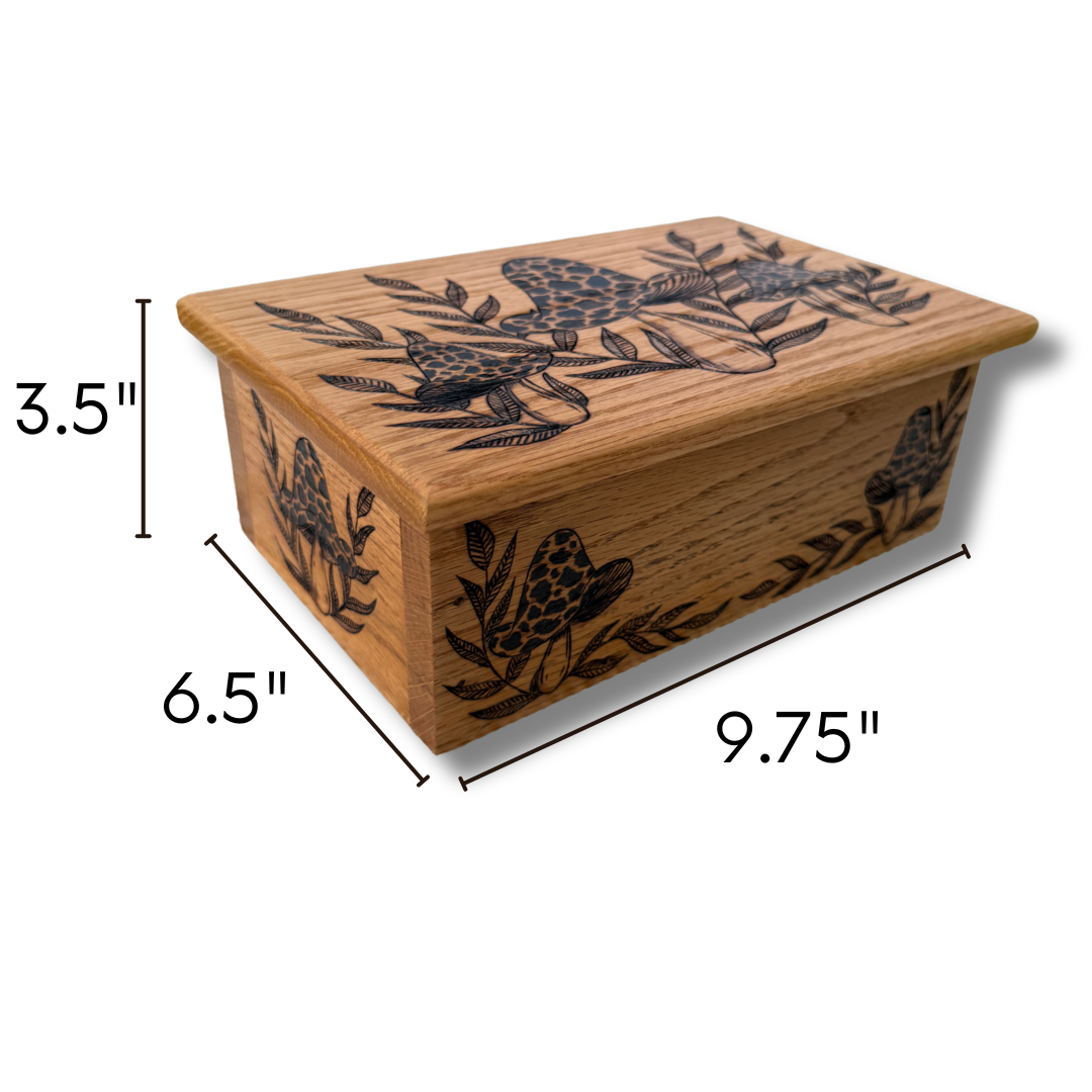 Ferns & Fungi Box