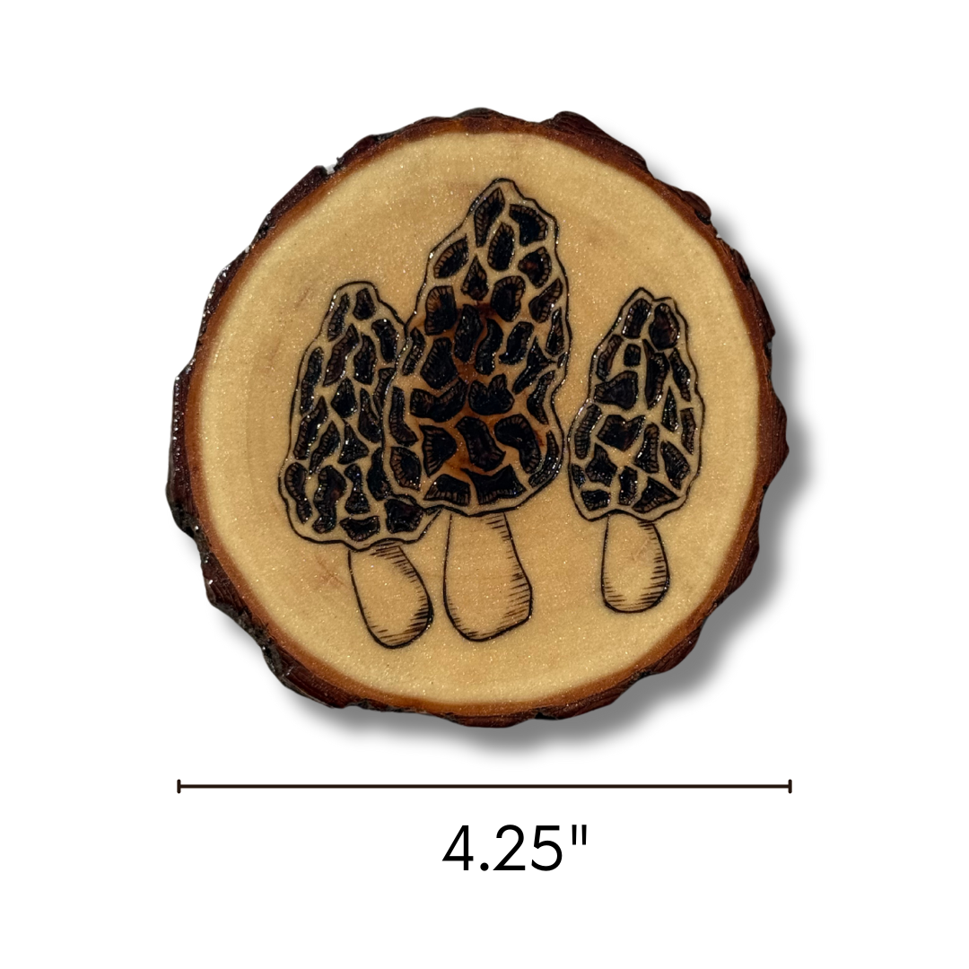 Morchella Mushroom Coaster