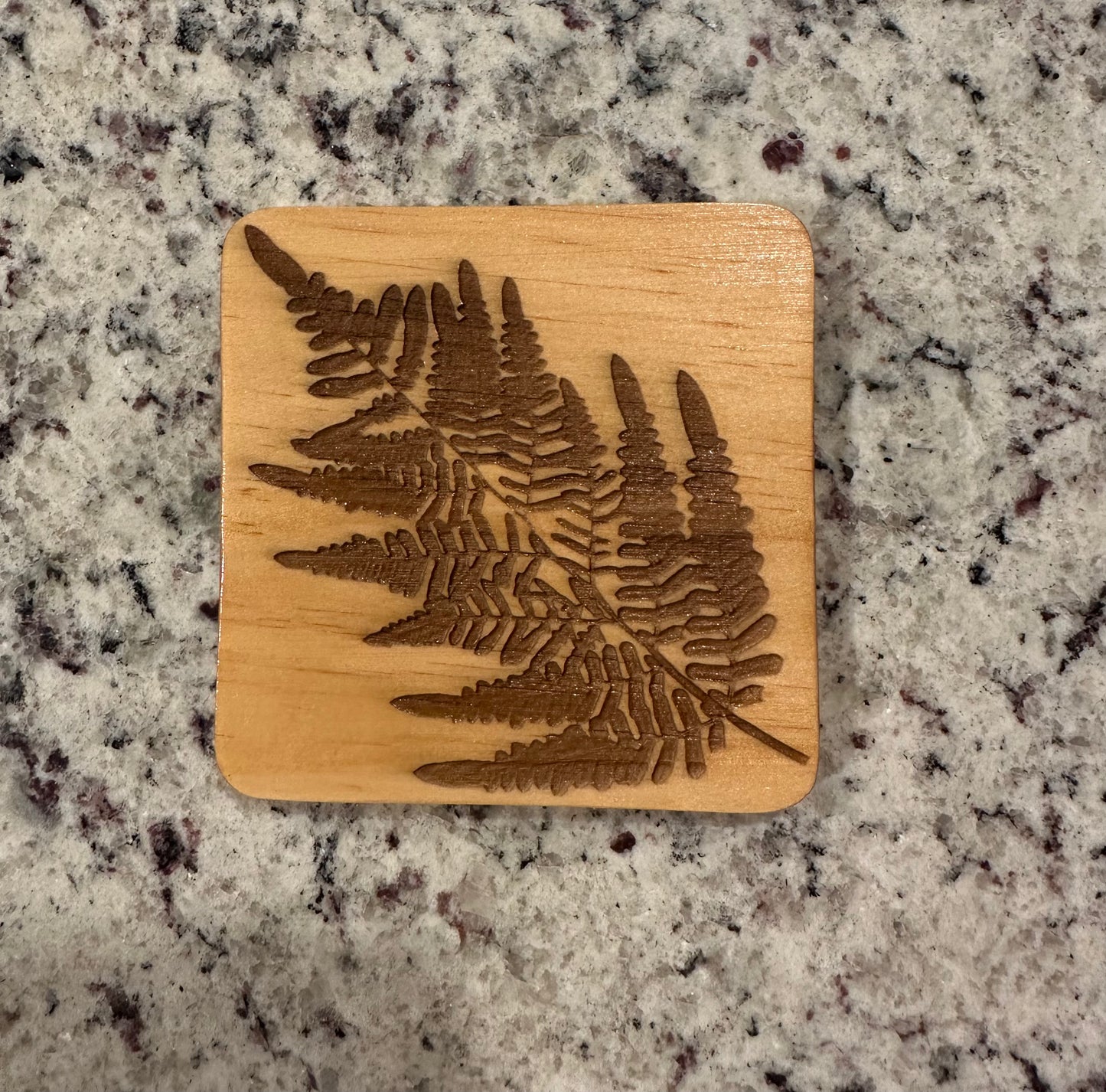 Fern Coasters