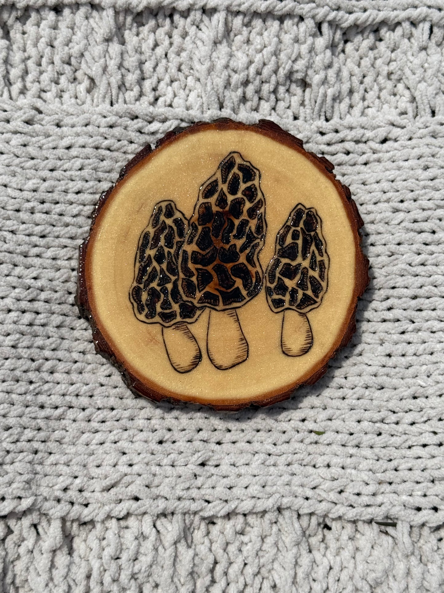 Morchella Mushroom Coaster