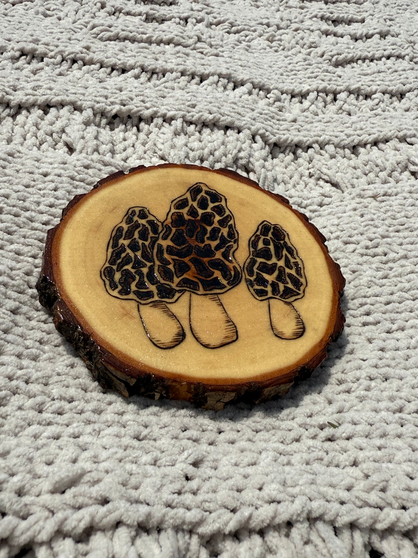 Morchella Mushroom Coaster
