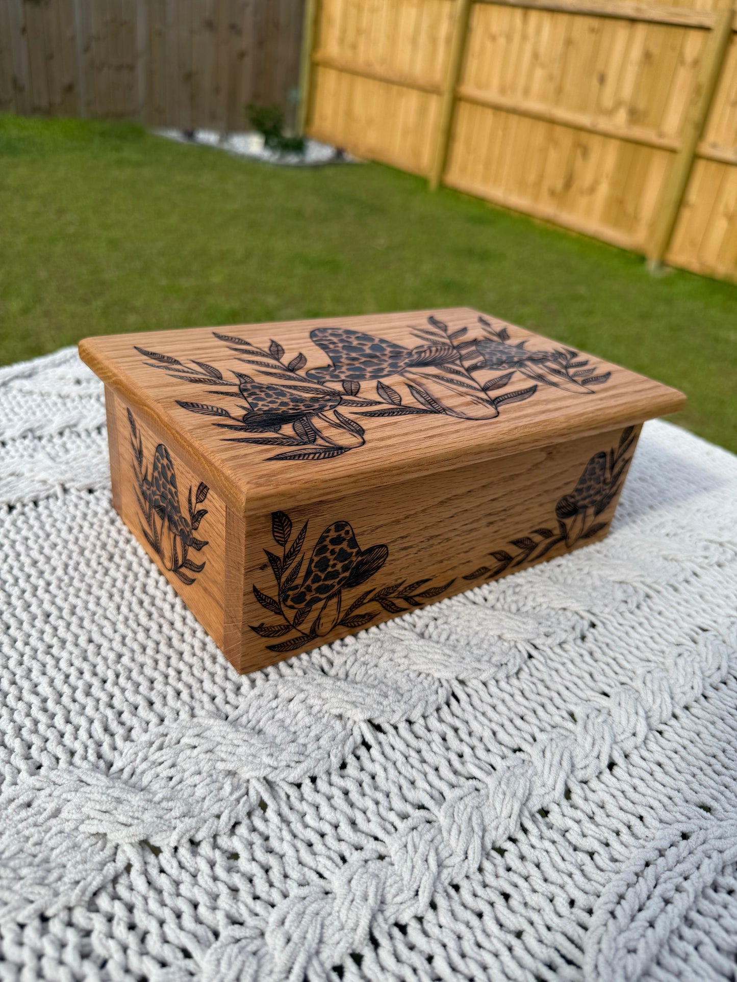 Ferns & Fungi Box