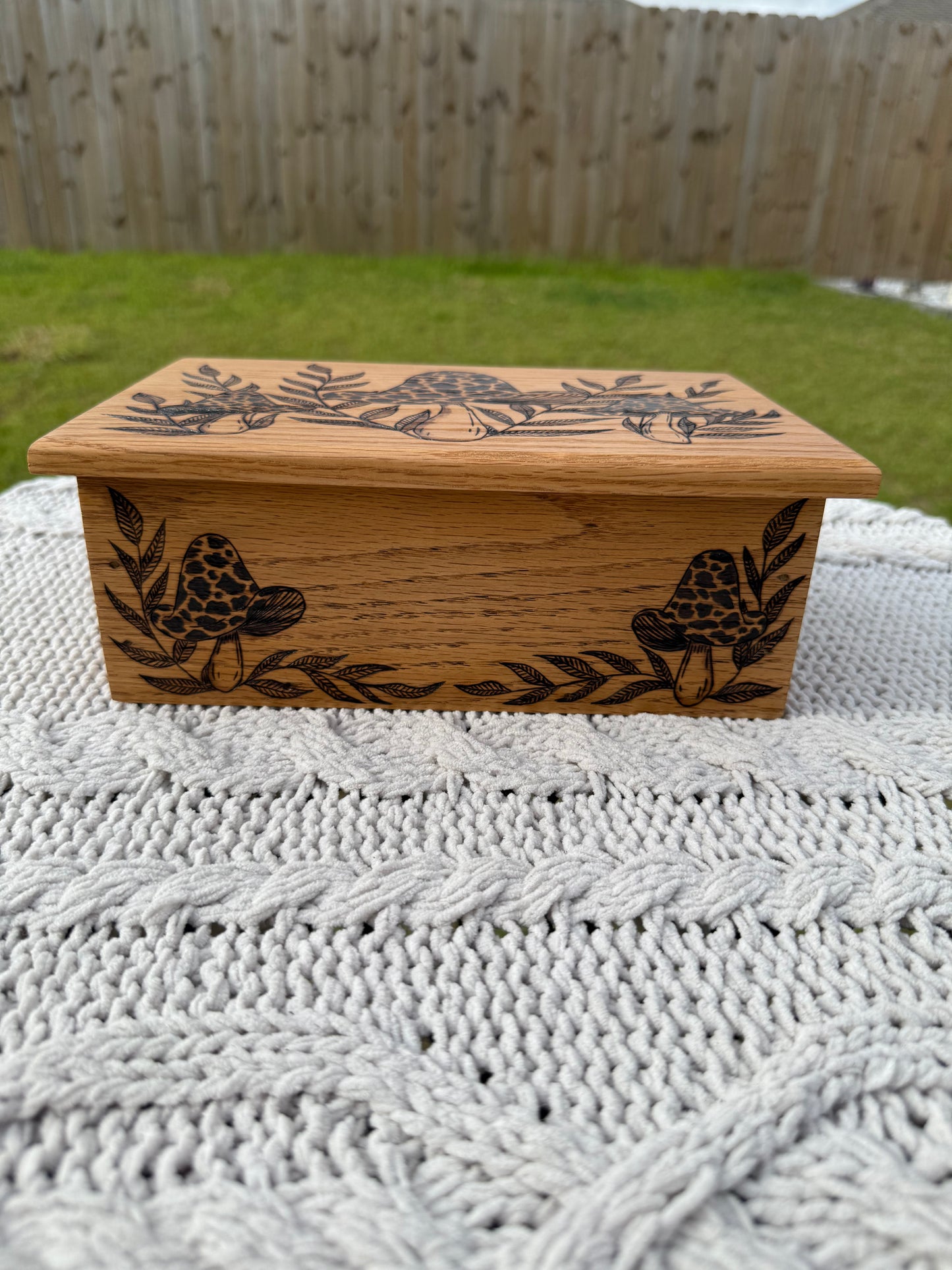 Ferns & Fungi Box