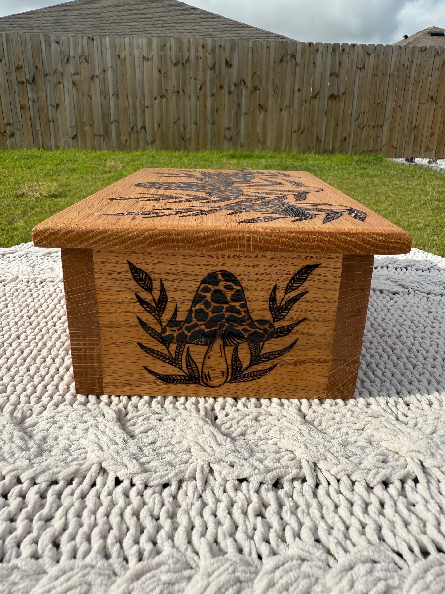 Ferns & Fungi Box