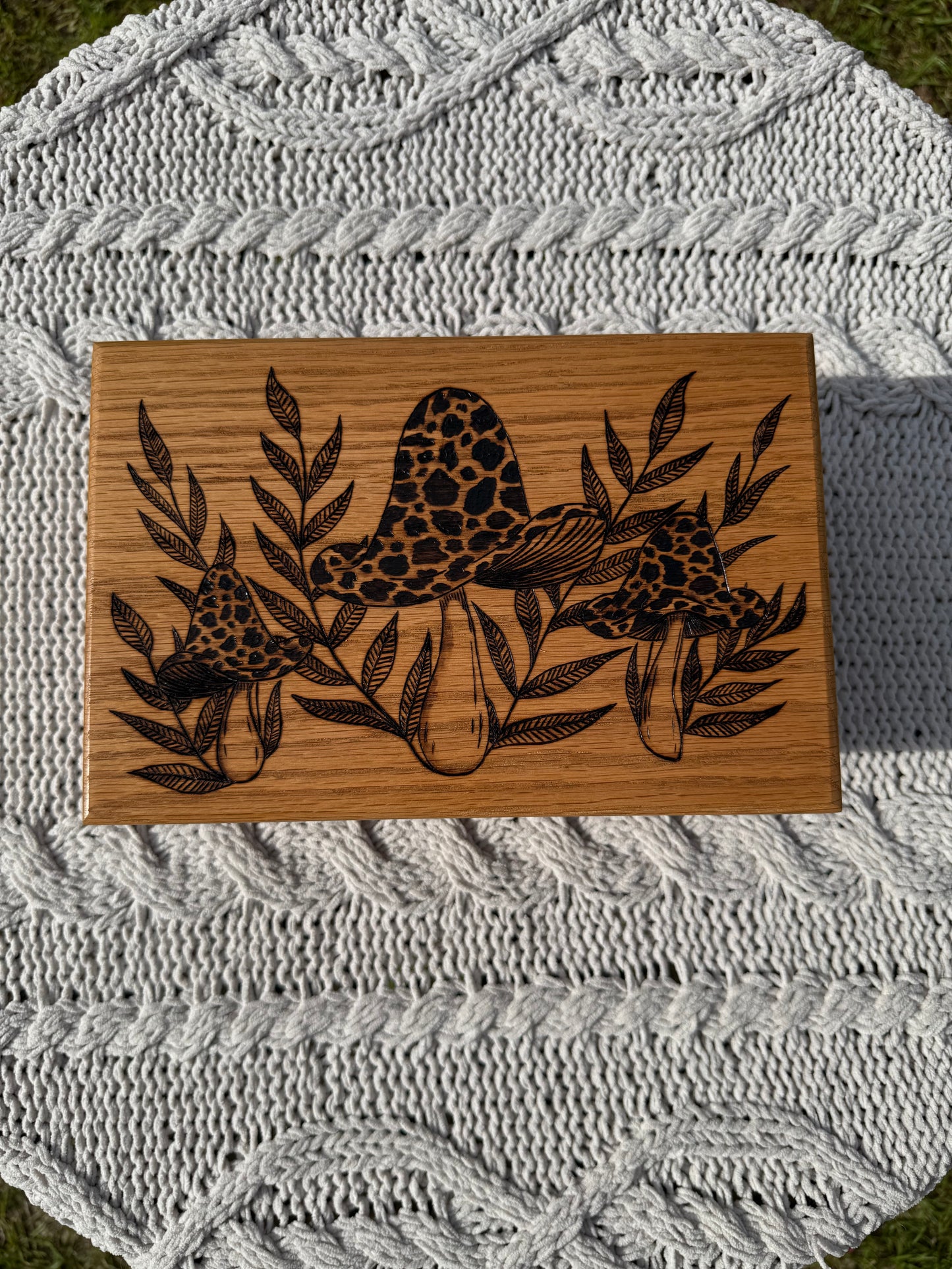 Ferns & Fungi Box