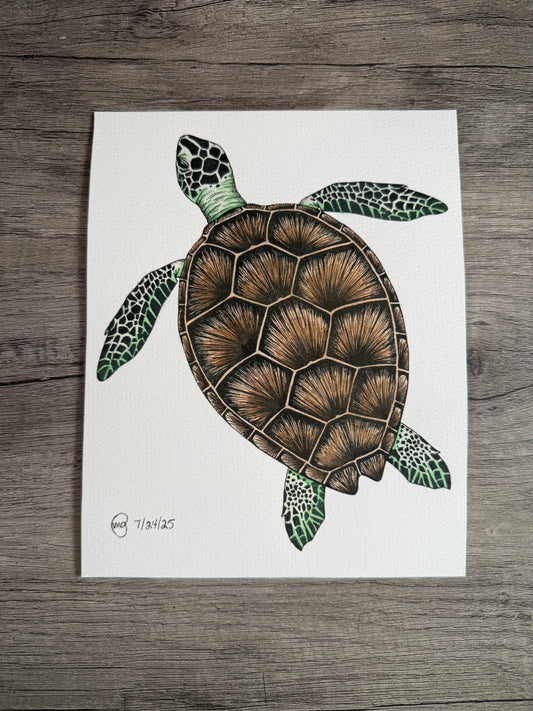 Sea Turtle Watercolor