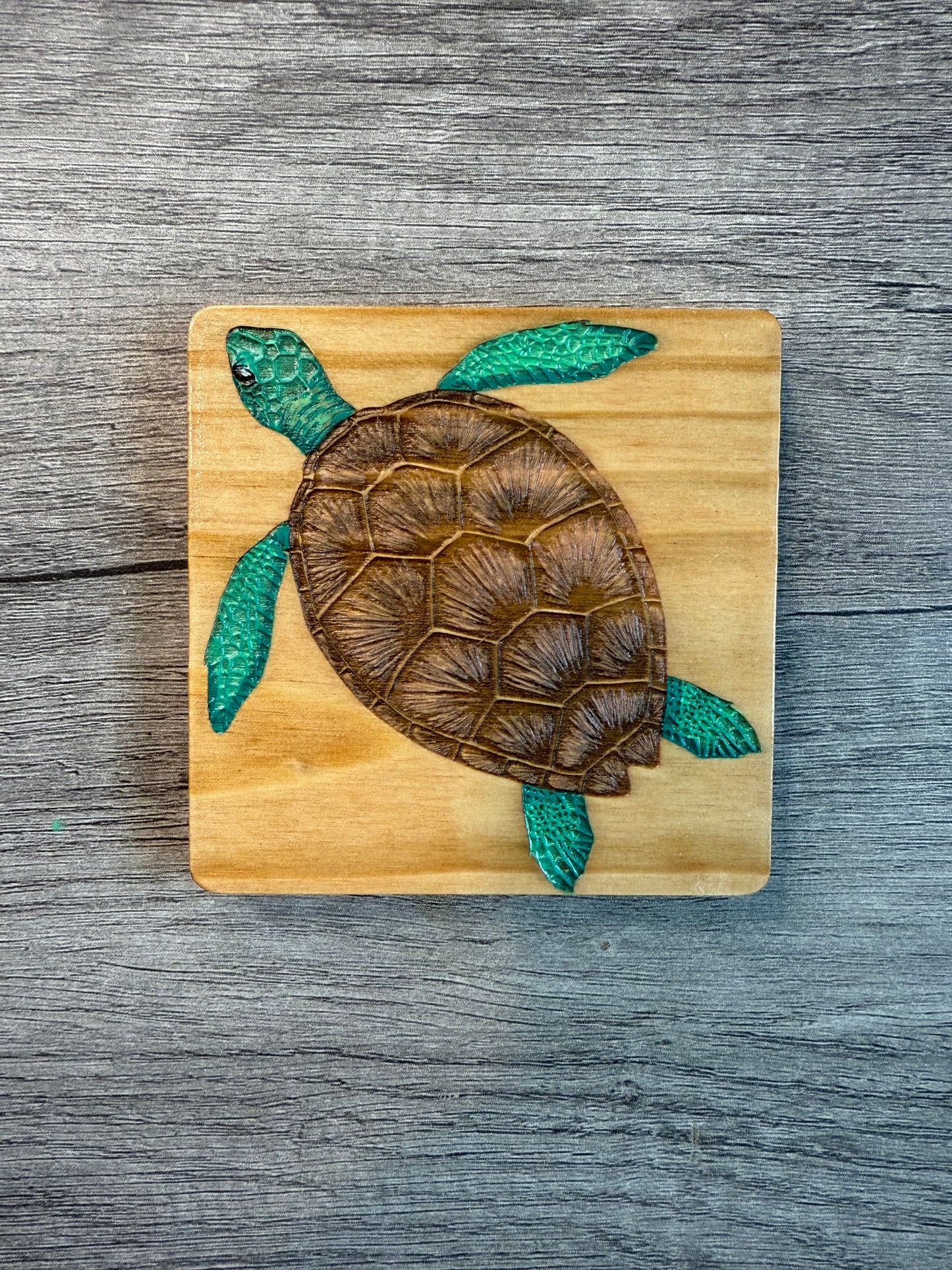 Sea Turtle Coasters