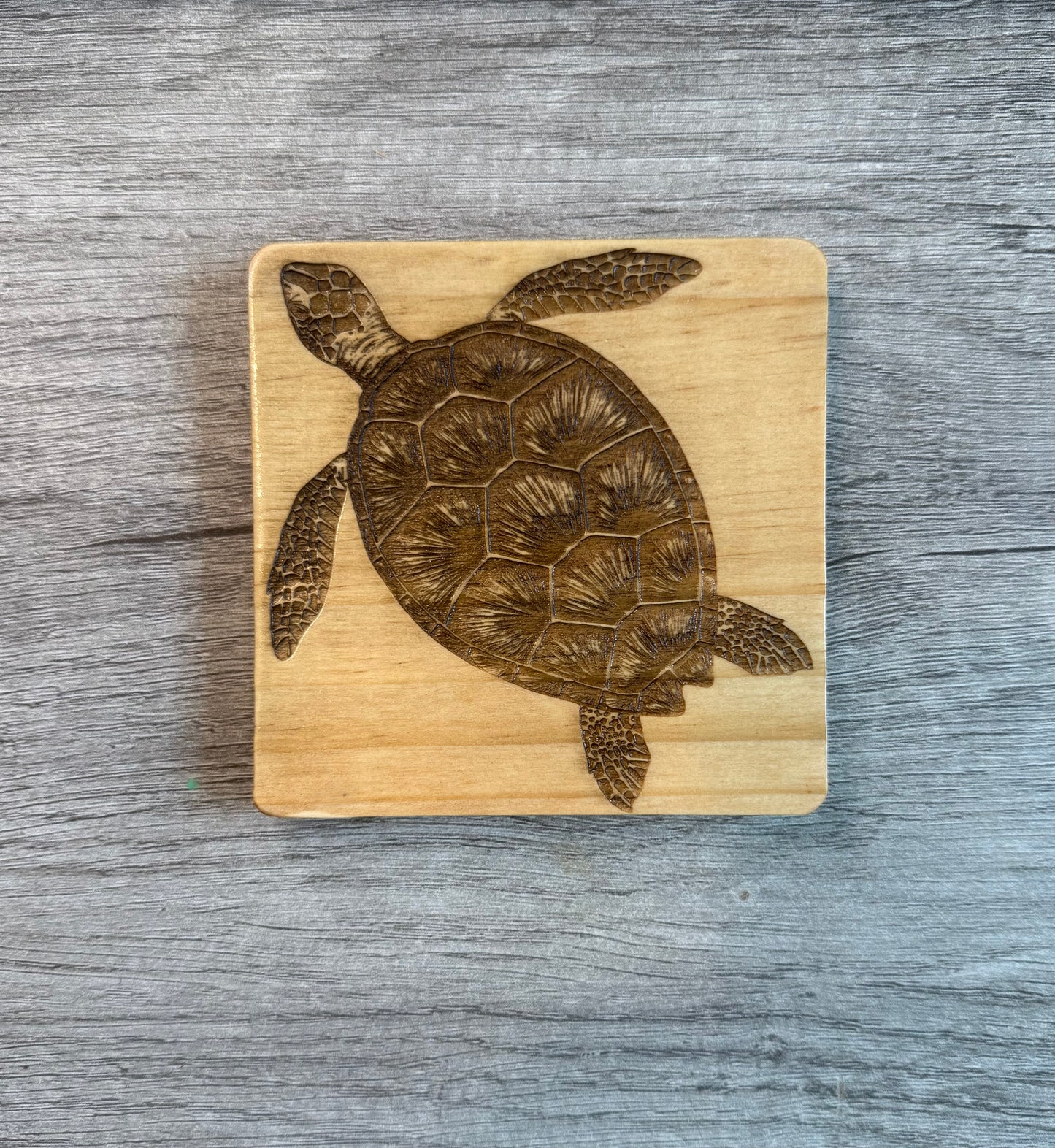Sea Turtle Coasters