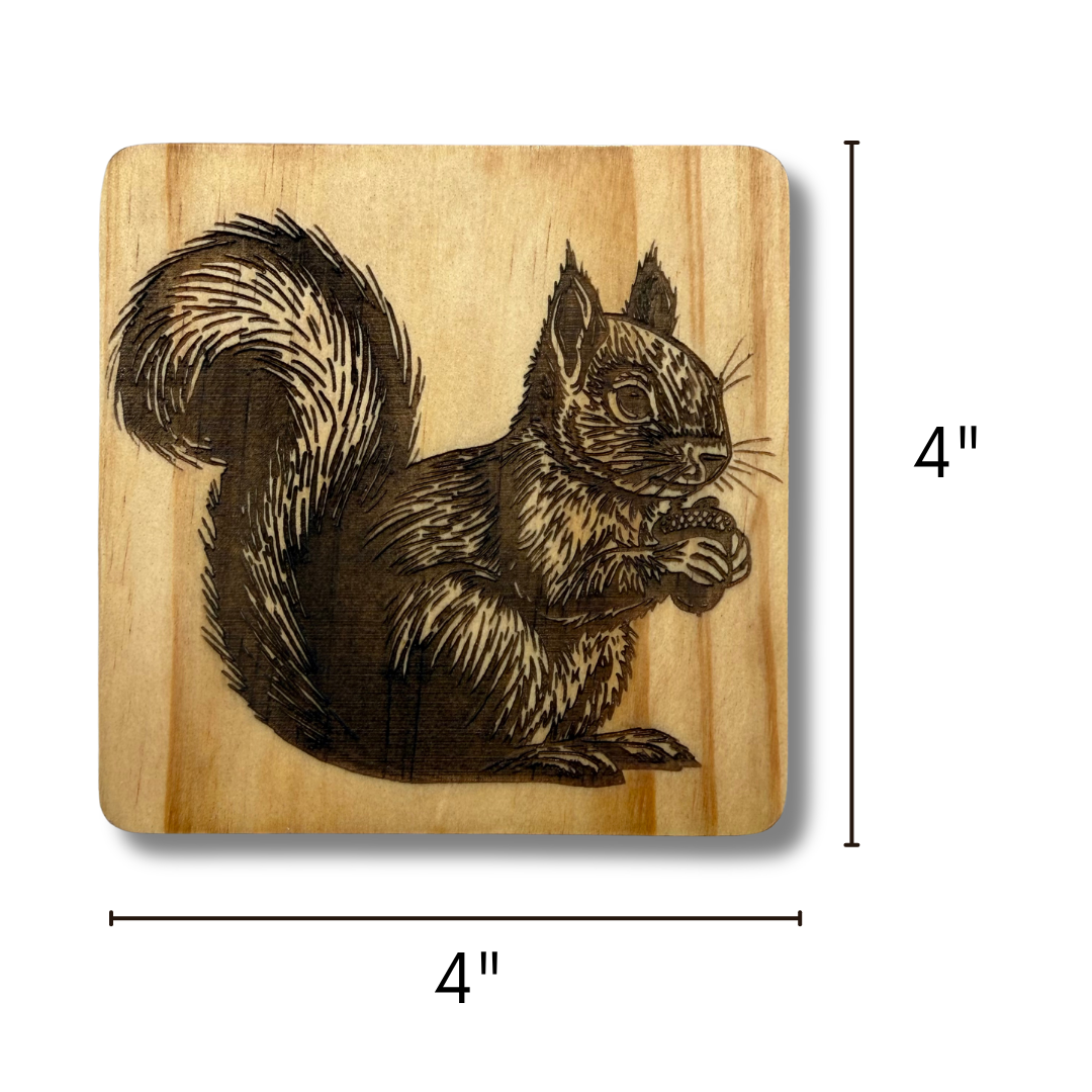 Squirrel Coasters