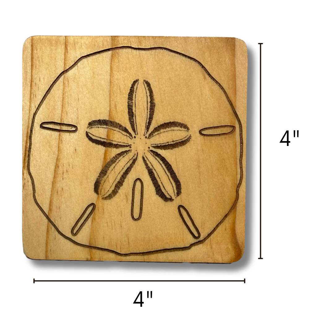 Sand Dollar Coasters