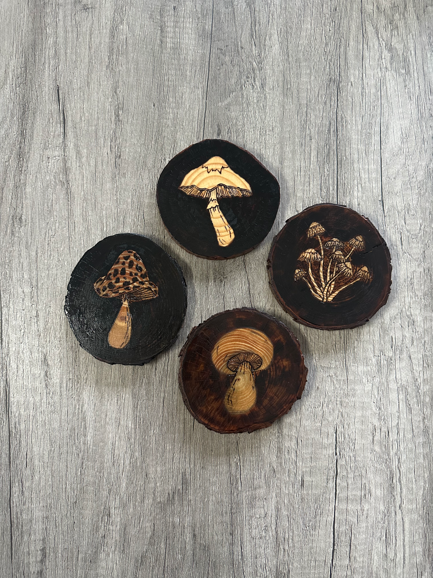 Vintage Mushroom Coaster Set