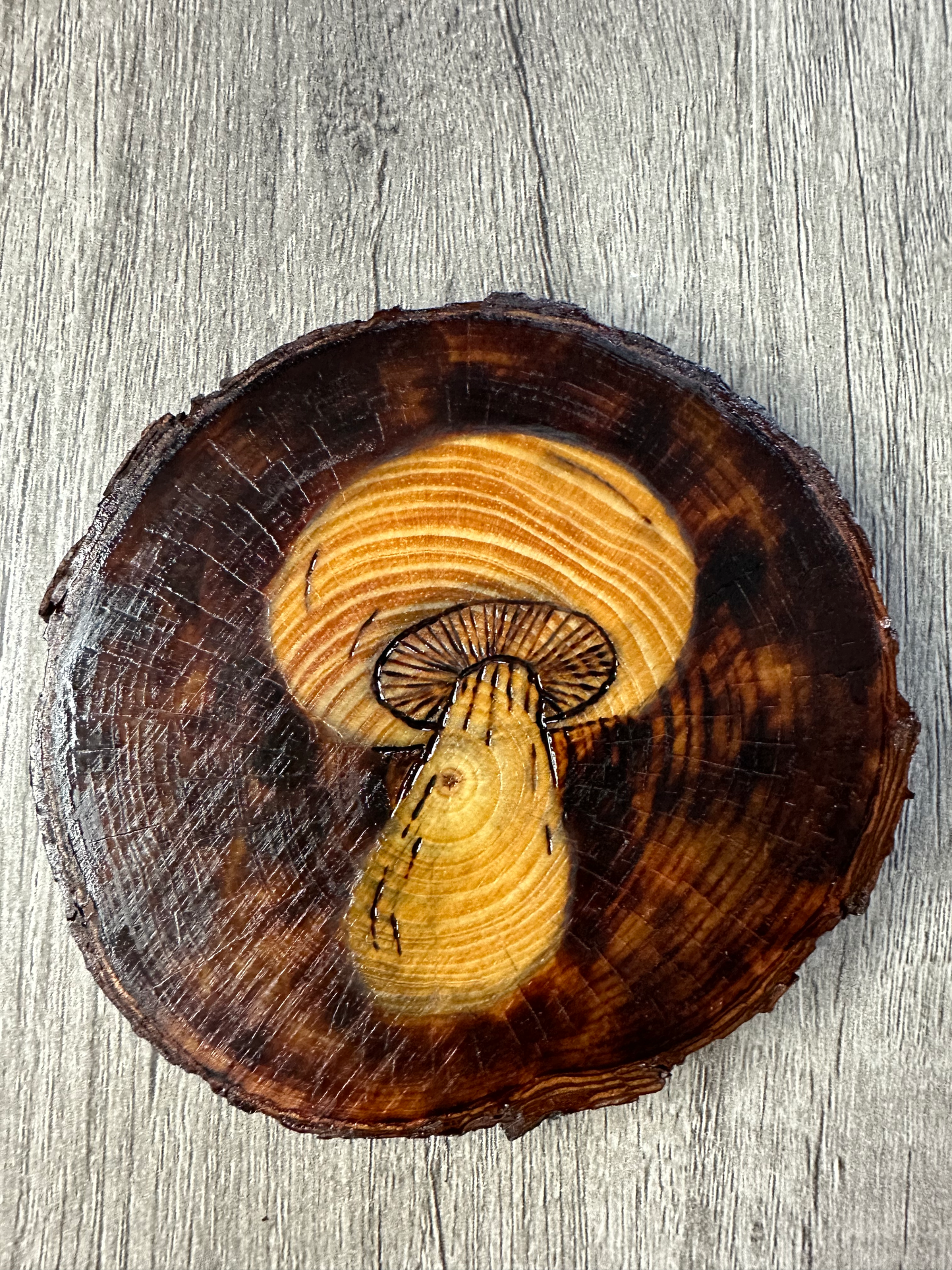 Vintage Mushroom Coaster Set