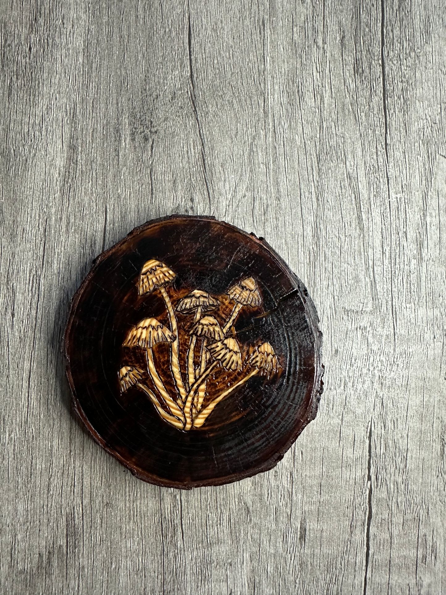 Vintage Mushroom Coaster Set