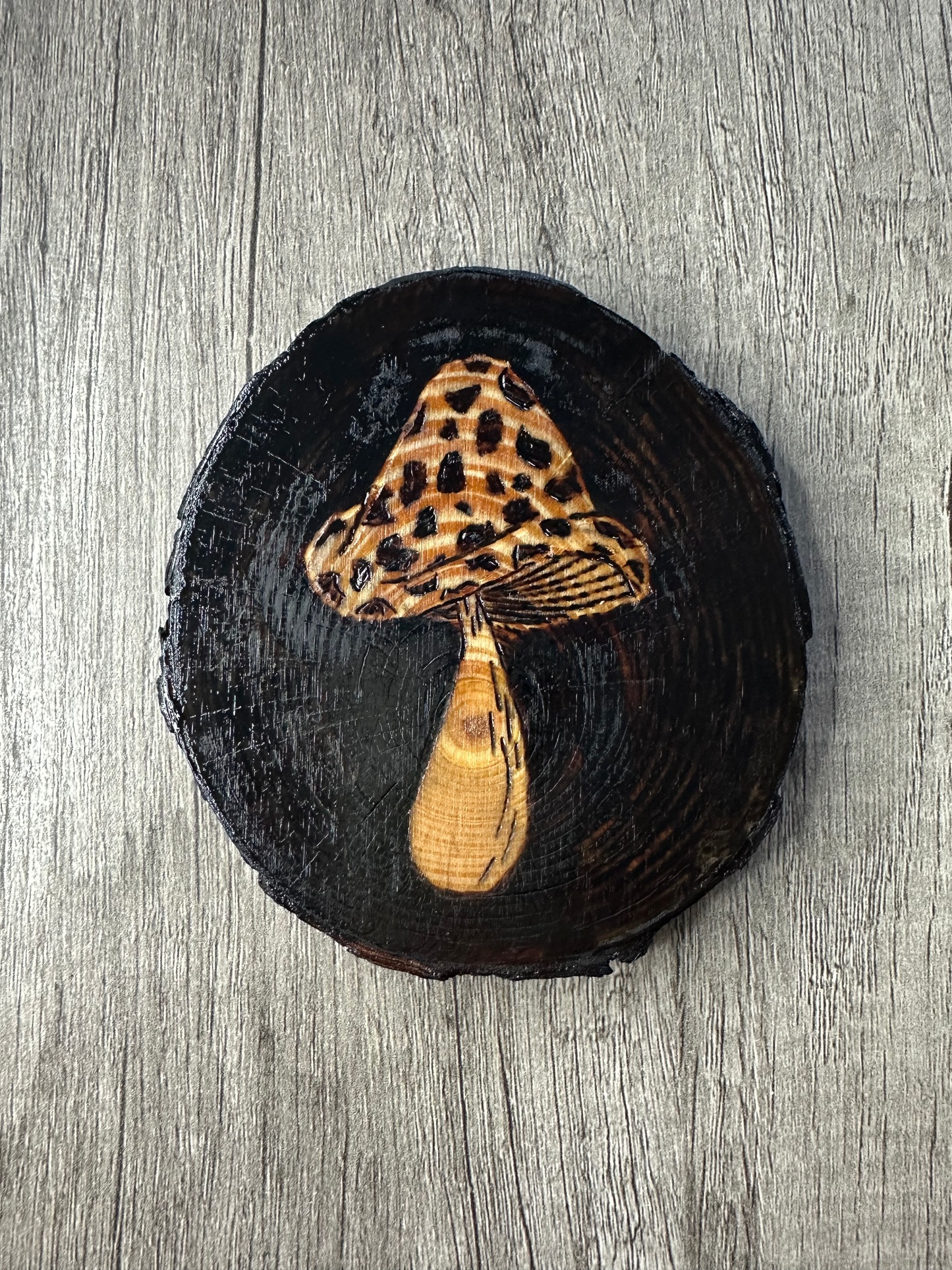 Vintage Mushroom Coaster Set