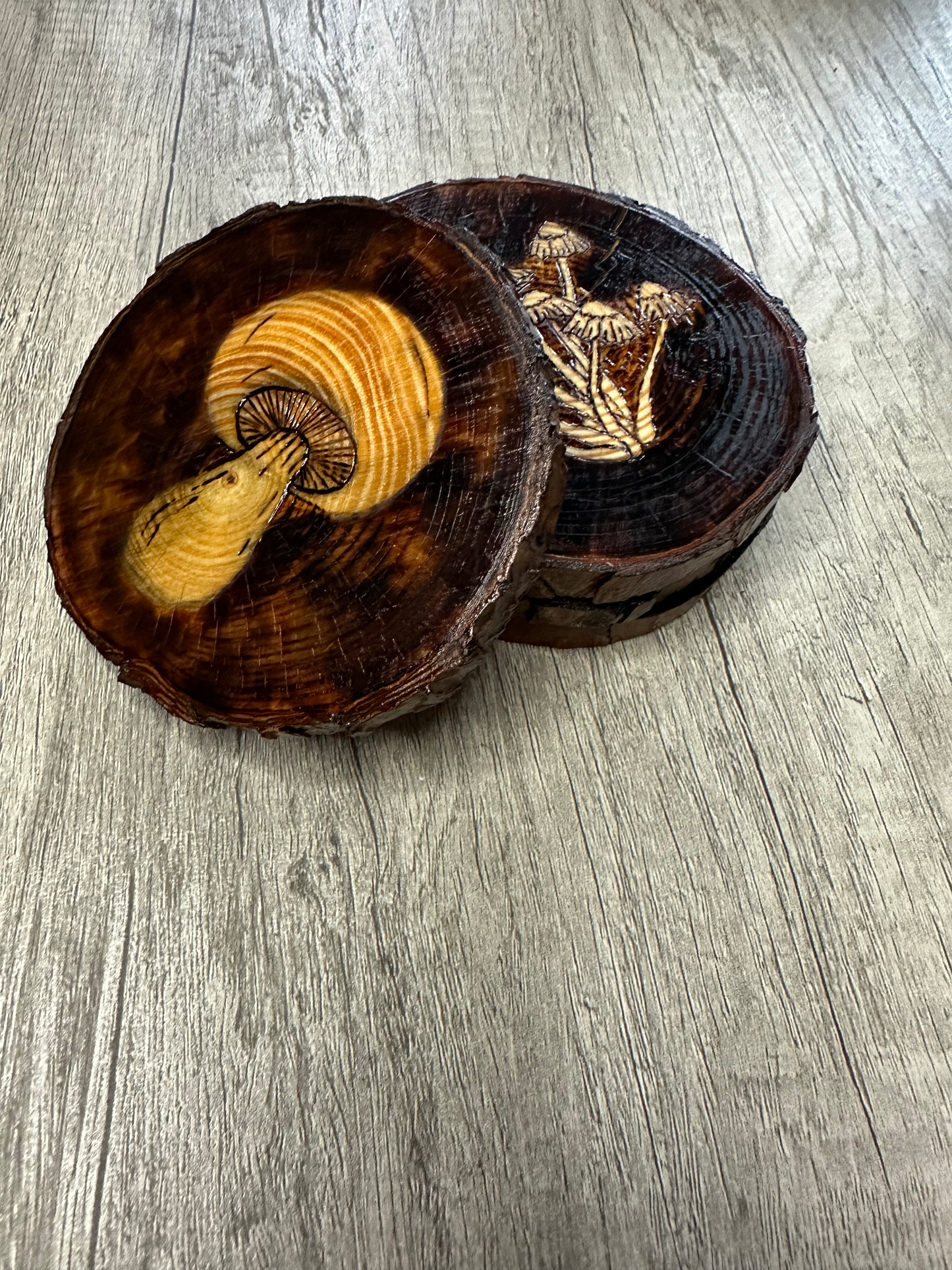 Vintage Mushroom Coaster Set