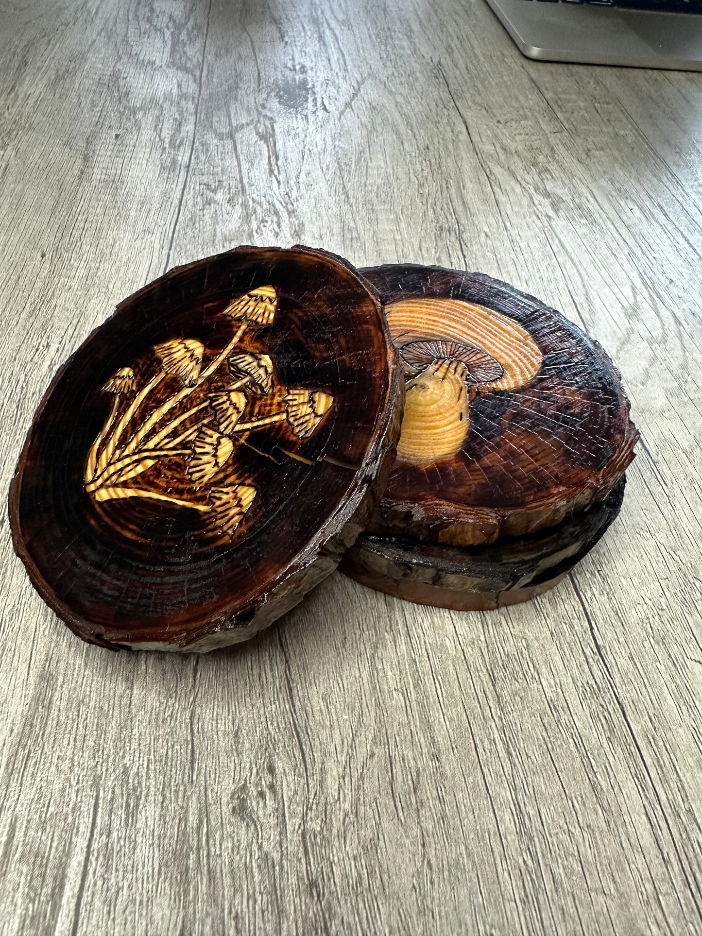 Vintage Mushroom Coaster Set