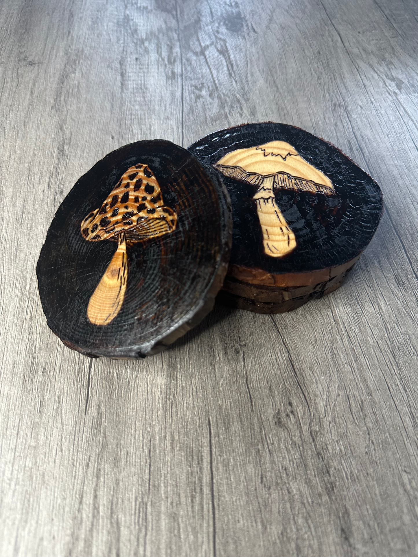 Vintage Mushroom Coaster Set