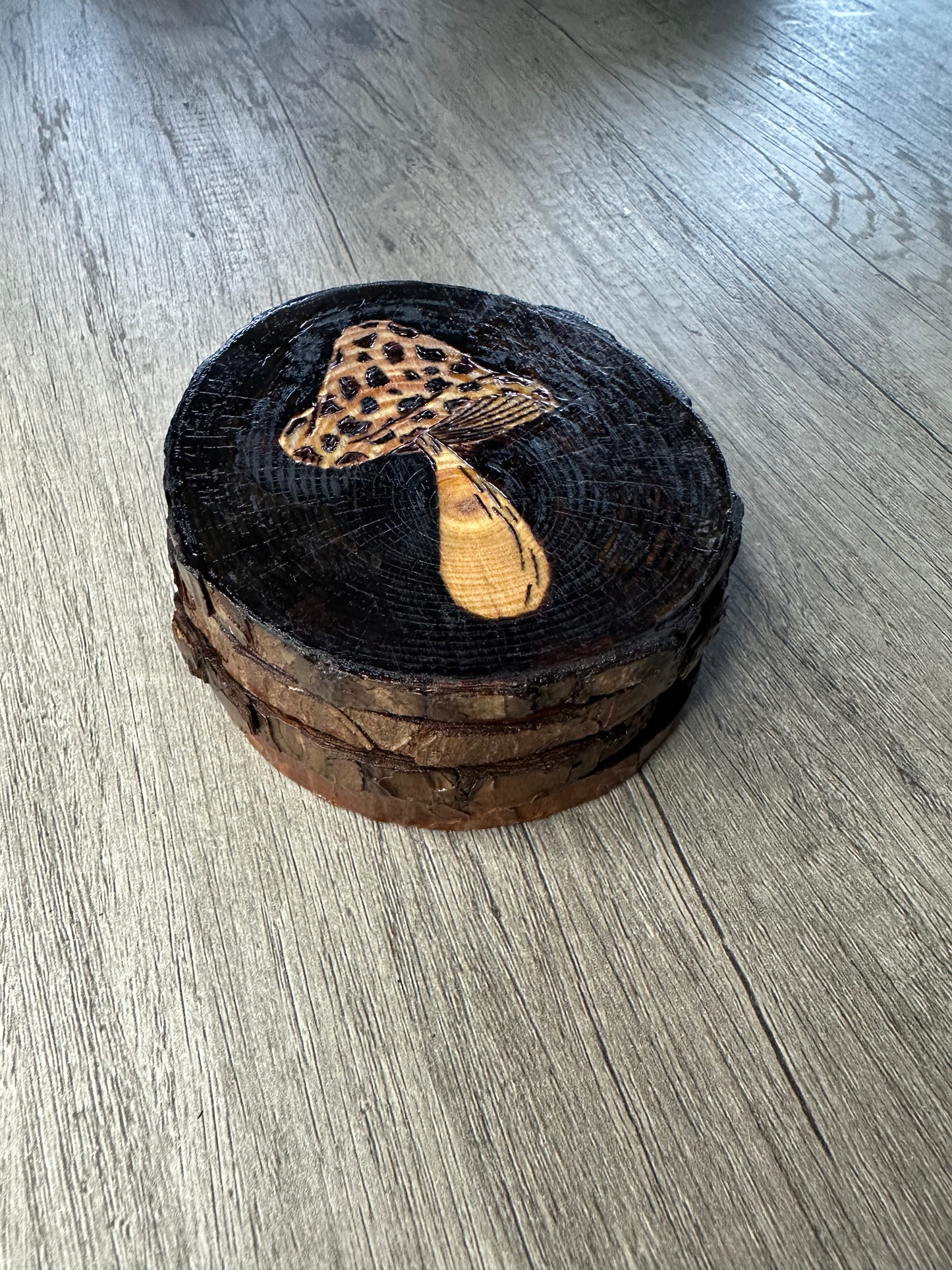 Vintage Mushroom Coaster Set