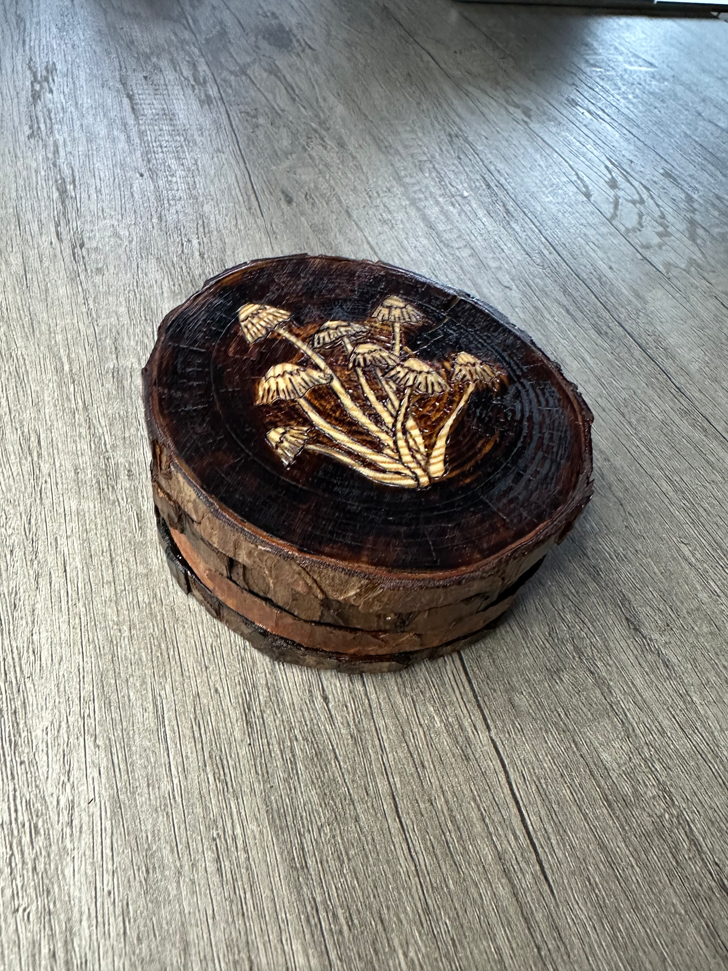 Vintage Mushroom Coaster Set