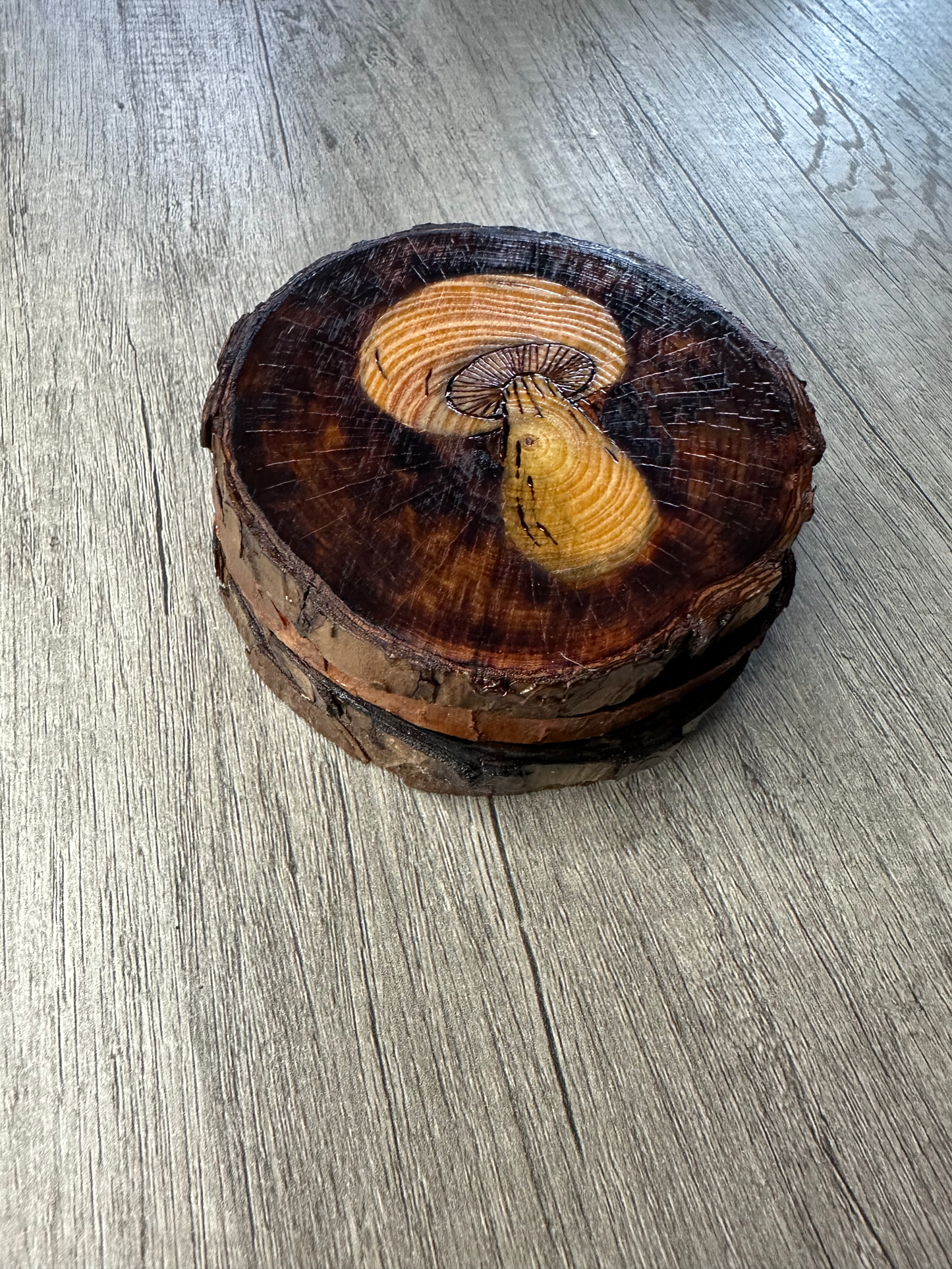 Vintage Mushroom Coaster Set