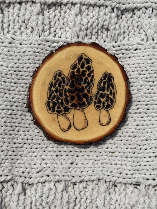 Morchella Mushroom Coaster