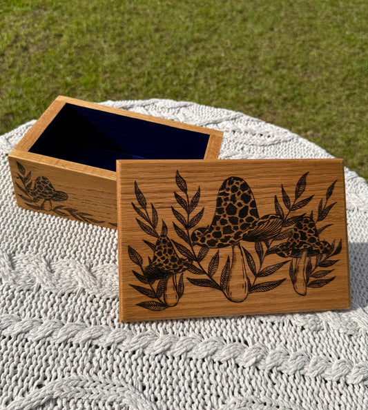 Ferns & Fungi Box