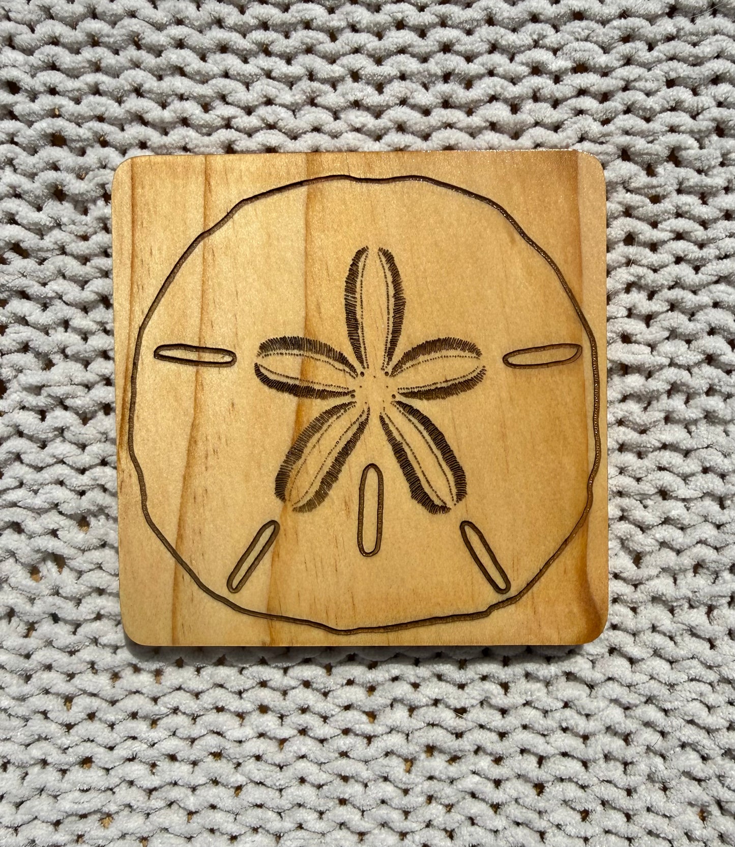 Sand Dollar Coasters
