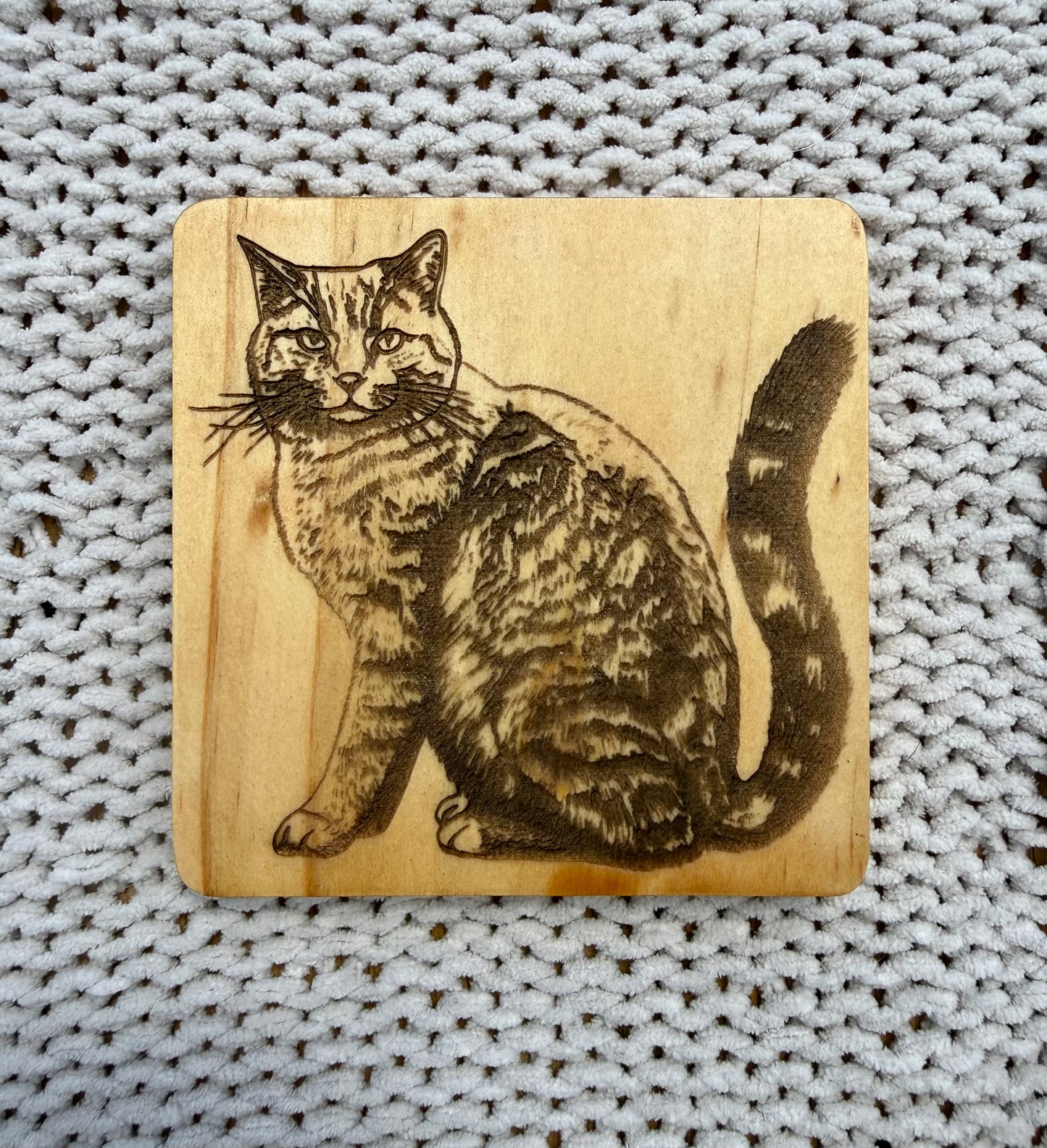 Cat Coasters