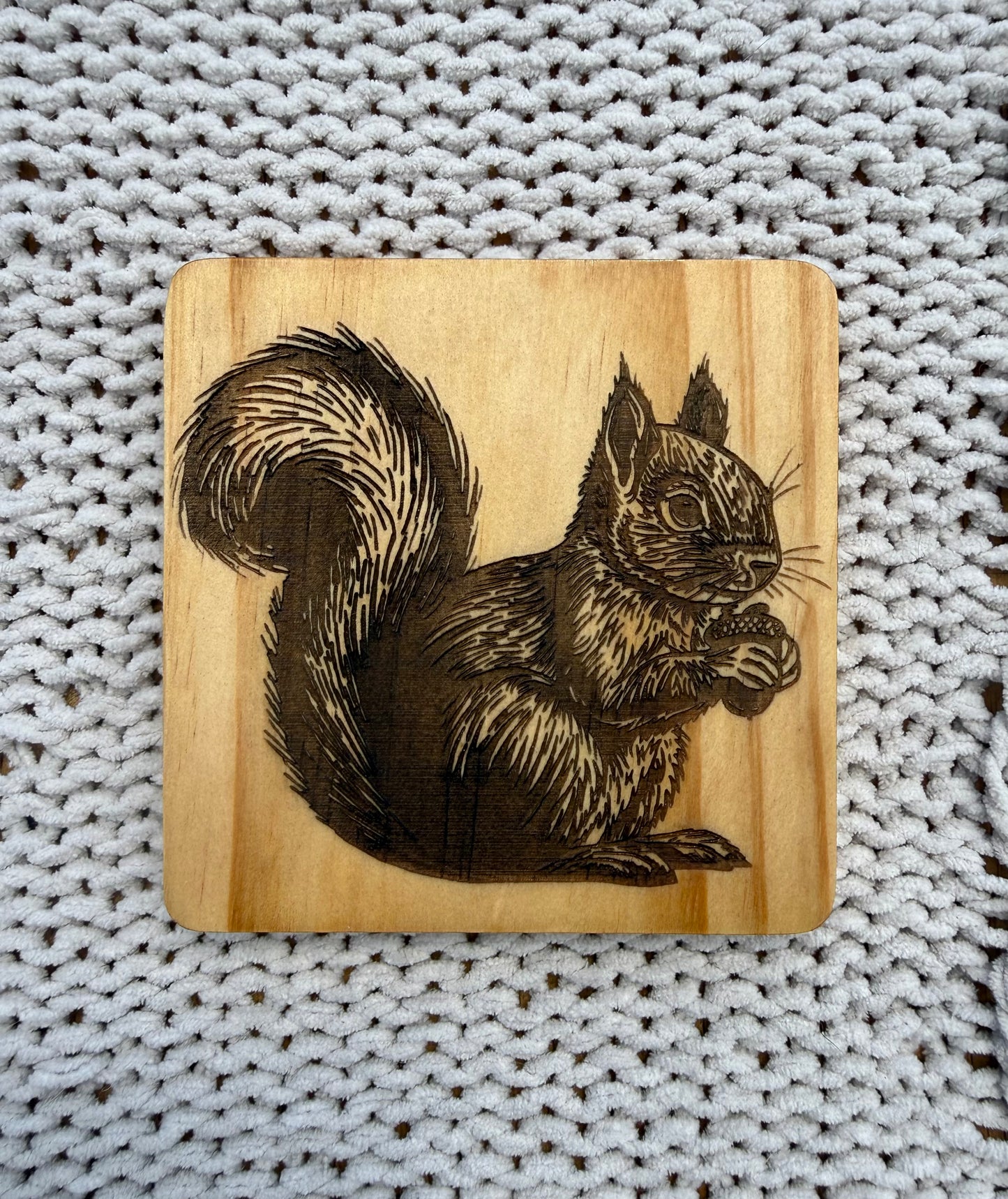 Squirrel Coasters
