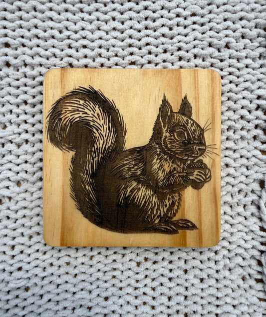 Squirrel Coasters